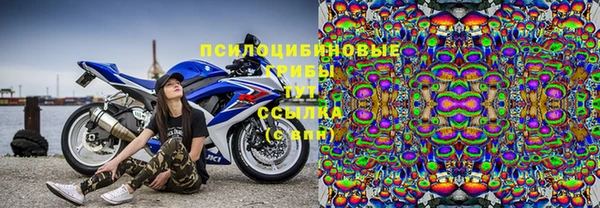 ГАЛЛЮЦИНОГЕННЫЕ ГРИБЫ Баксан