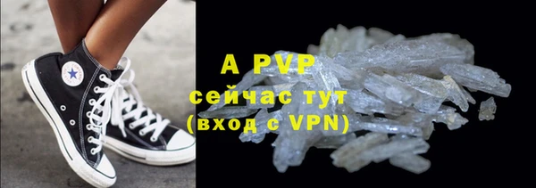 ГАЛЛЮЦИНОГЕННЫЕ ГРИБЫ Баксан