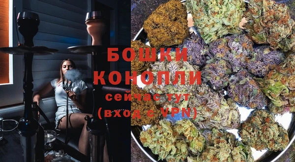 молекула духа Белокуриха